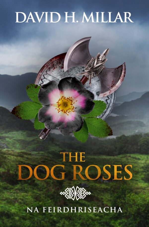 NA FEIRDHRISEACHA Book Cover