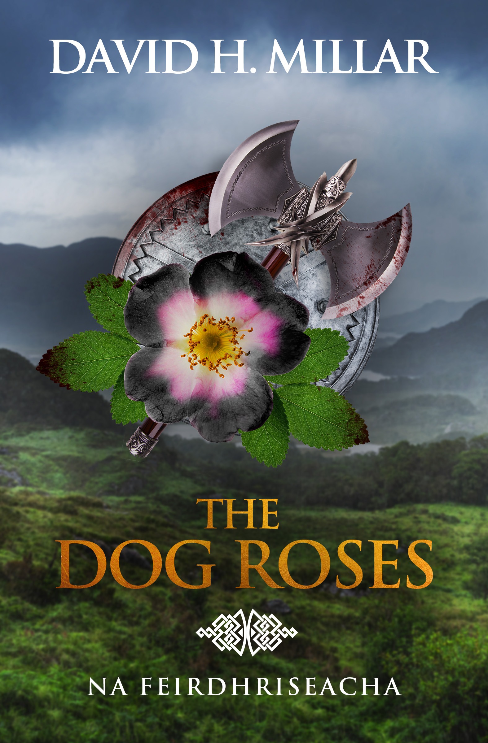 NA FEIRDHRISEACHA Book Cover