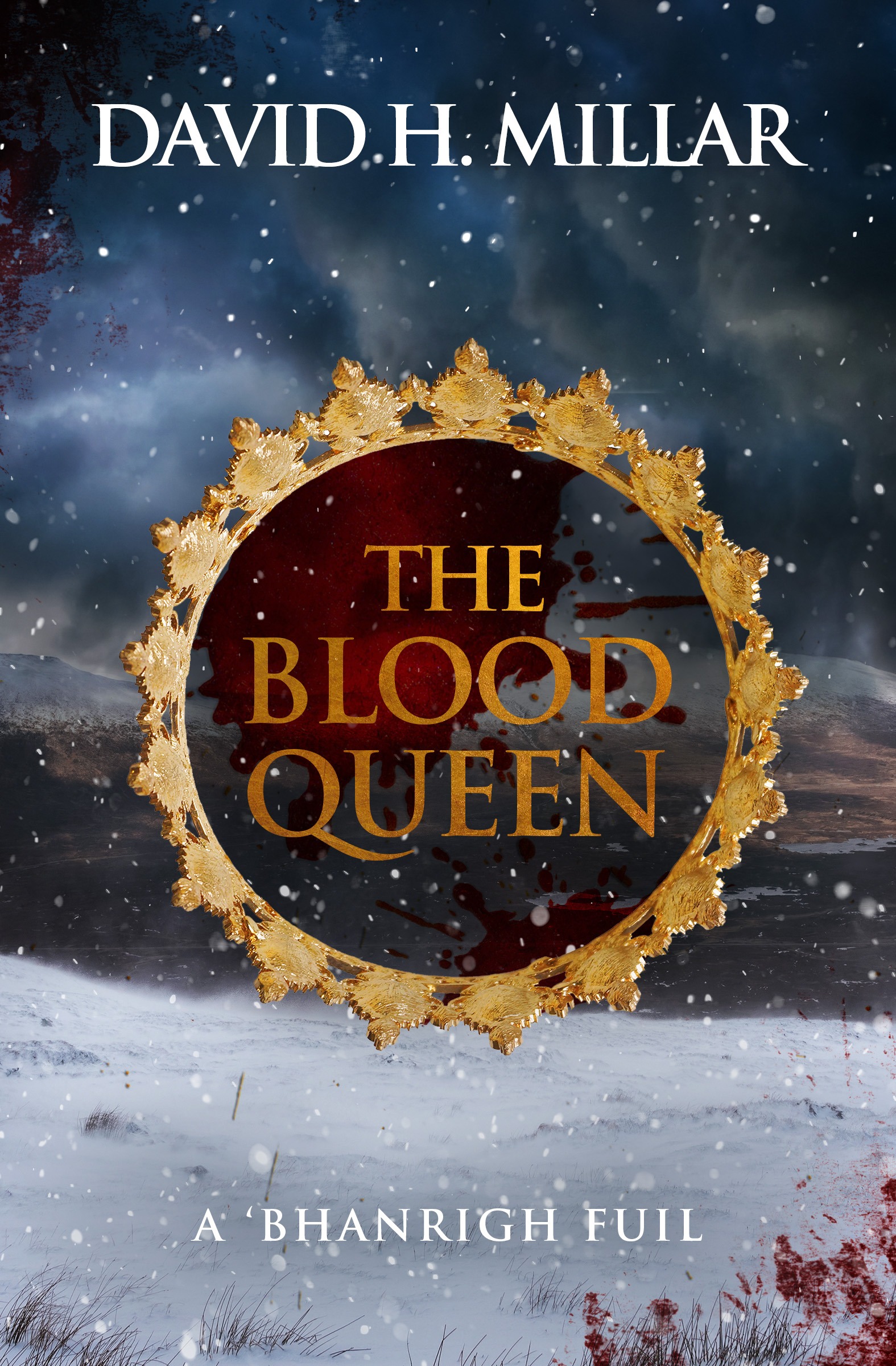 The Blood Queen A Bhan righ Full Book Cover
