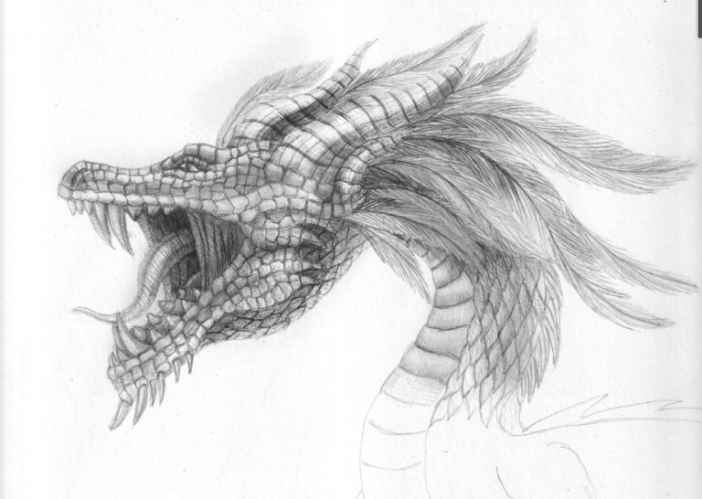 Dragon sketch
